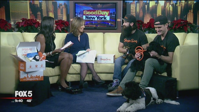 Subscription box service for dogs