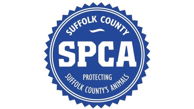 Dead cat found hanging from shed