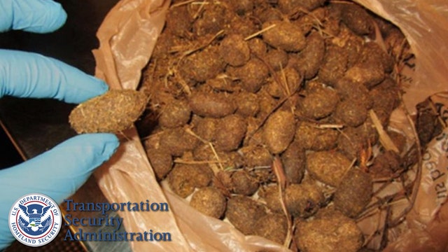 TSA finds moose poop in traveler's carry-on bag