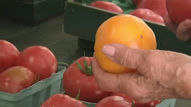 Some of Long Island's tastiest tomatoes are ready