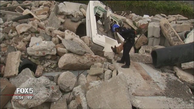 NYPD training more women to be K-9 officers