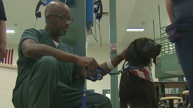 Inmate learns to train service dogs for veterans