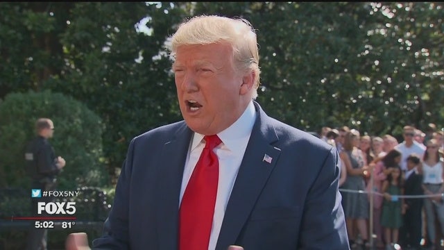 Sweden rejects TRUMP vanity license plate request