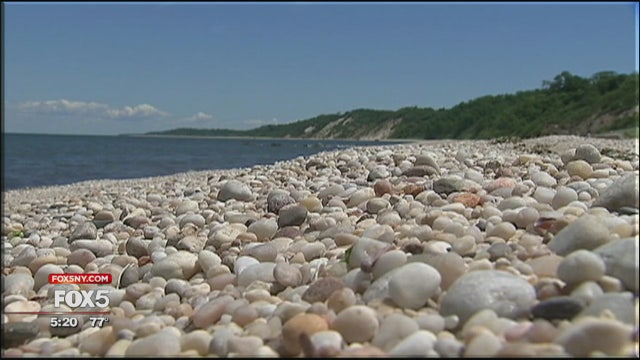 NY state parks to allow swimming without lifeguards