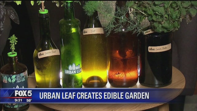 Start-up grows gardens in empty bottles