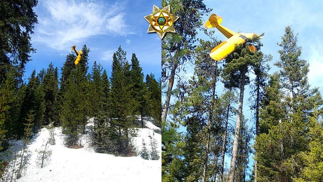 Plane crash lands atop tree in Idaho; pilot rescued