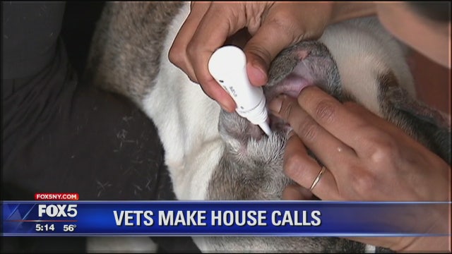 New veterinary house call service