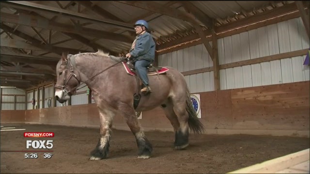 Horse-riding program for American veterans