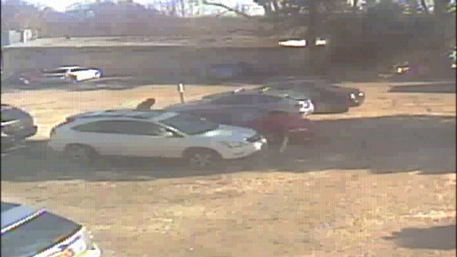 Video released of Oheka Castle shooting