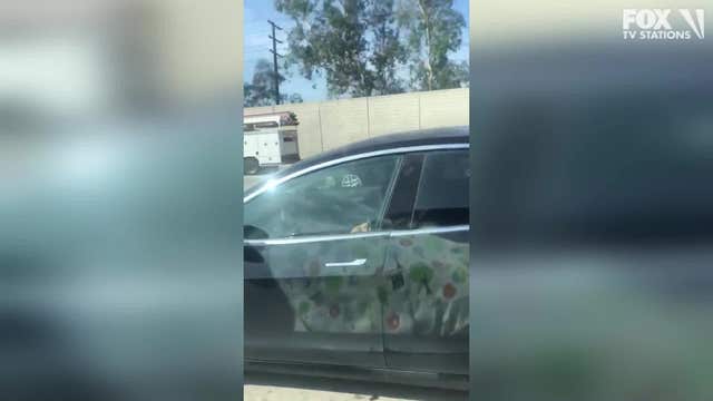 'He's totally asleep': Video shows Tesla driver asleep behind wheel in California