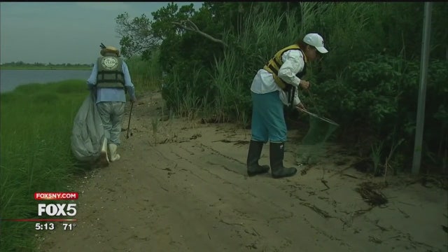 Volunteers working to clean up LI's waterways