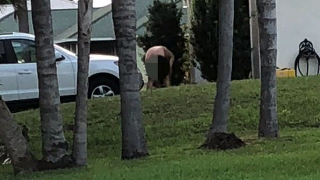 Plants, but no pants: Florida man gardens in the nude