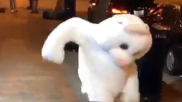 Person dressed as Easter bunny hops into fight in Orlando