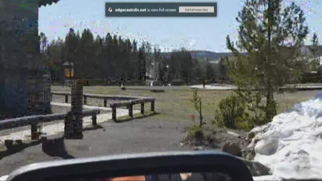Woman gets too close to bison at Yellowstone Park