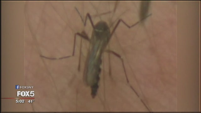 9 Zika cases in NY; more countries affected