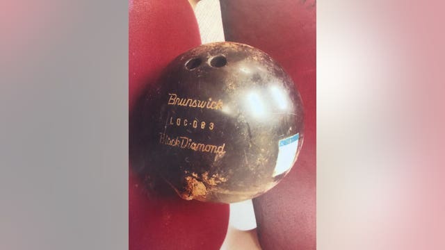 Wisconsin man fires bowling balls from cannon, neighbor's horse found dead