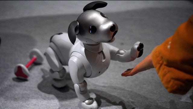 Don't want to bother with cat litter? Japan offers robots