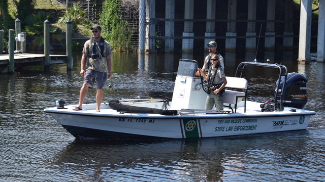 Police: Alligator attacks homeless man in Florida river