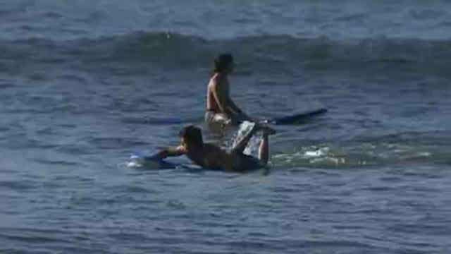 Sunny Disposition cocktail