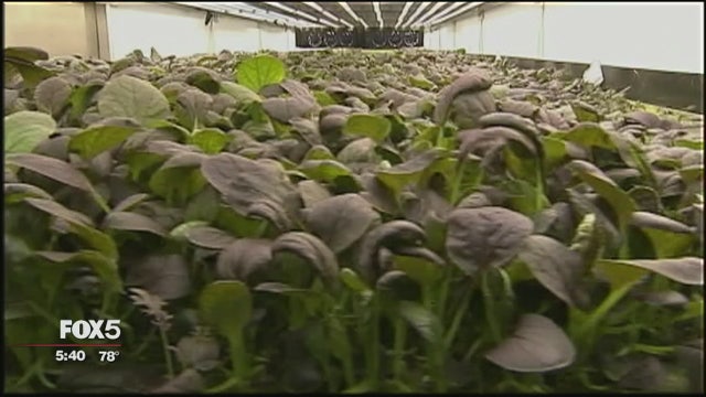 Vertical farm in Newark