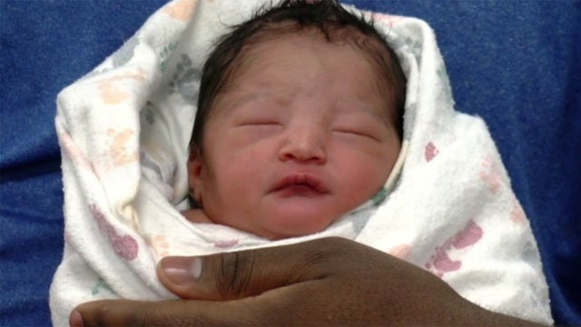 Woman gives birth to baby at zoo