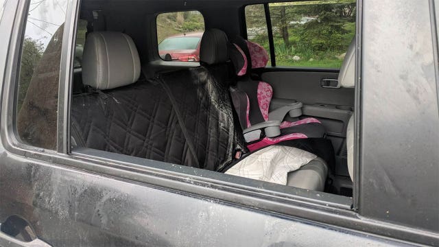 Bear devours cupcakes left in baker's car