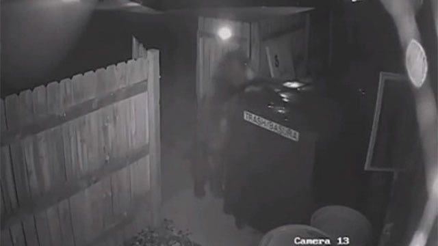 Bear bandit tries to steal dumpster from Colorado marijuana dispensary