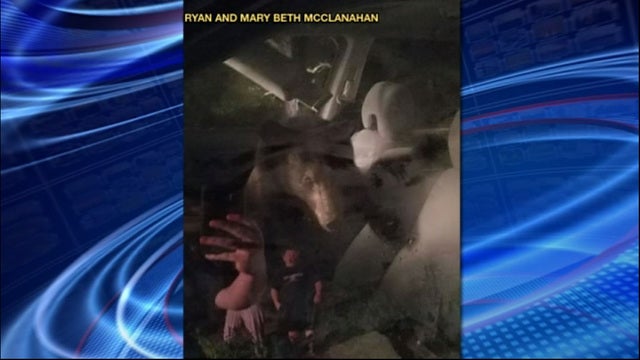 Couple finds bear in car