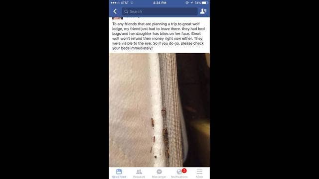 Great Wolf Lodge battles social media claims of bed bugs