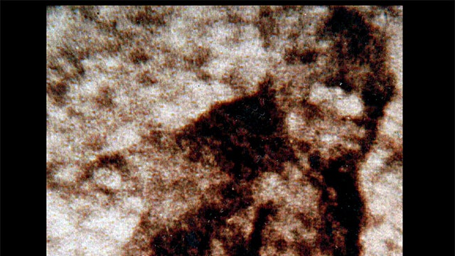 Police investigate Bigfoot sighting