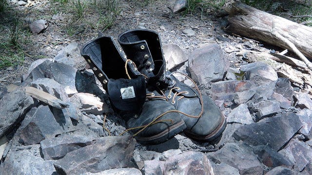 Bear bites Appalachian Trail hiker
