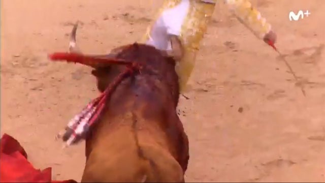 Matador takes bull horn up the butt