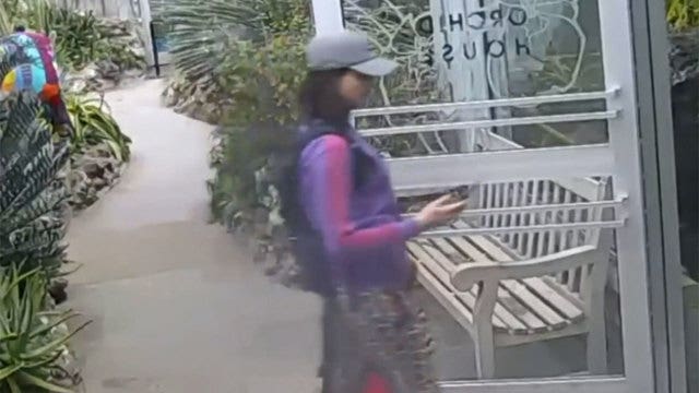 Cops:  Woman stole butterfly from exhibit