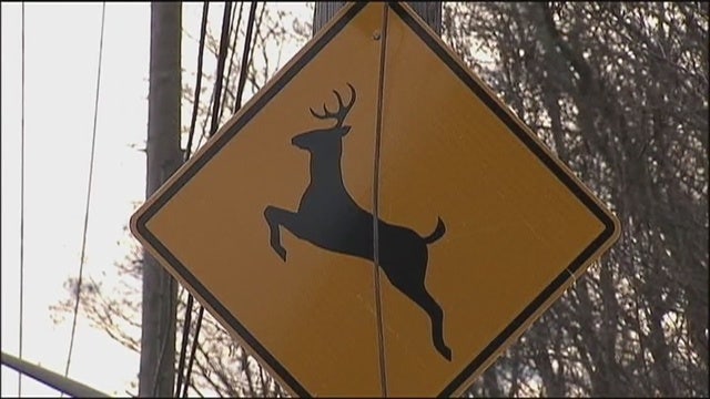 Woman who hunts deer at age 101 kills 2 with a single shot