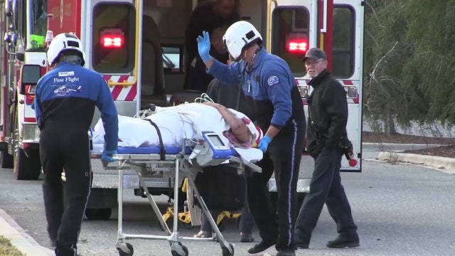 Cat attack leads to woman being run over by car