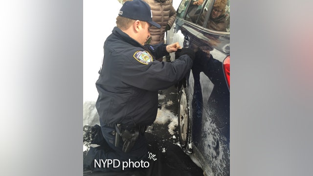 NYPD cops save scared kitten