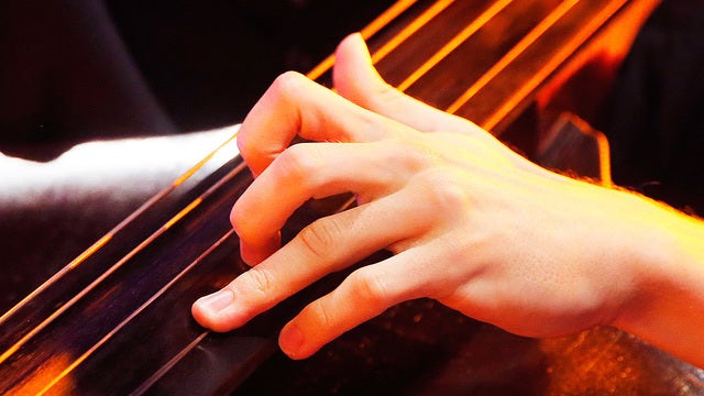 Airline bans, then allows cello