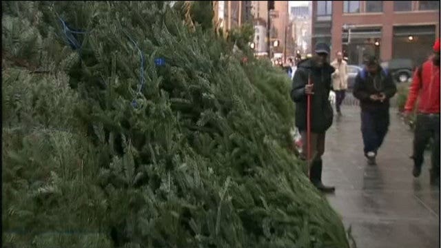 $1,000 Christmas trees in New York City