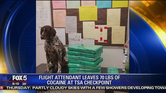 Flight attendant leaves 70 pounds of cocaine at TSA checkpoint