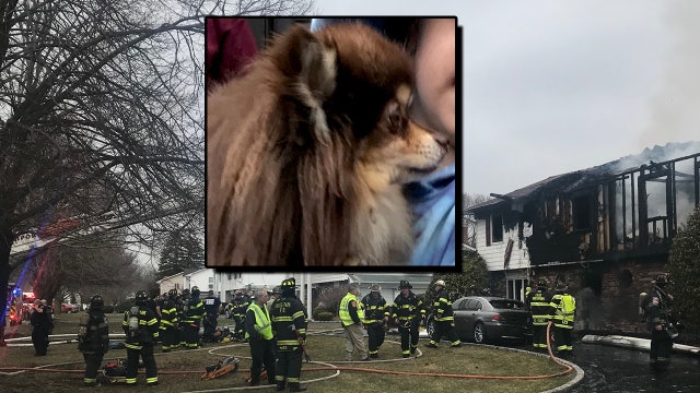 Cops save dog from burning house on Long Island