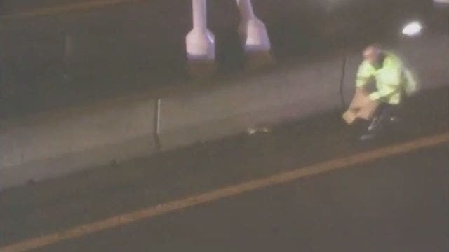 Rabbit led troopers on wild chase on Boston bridge