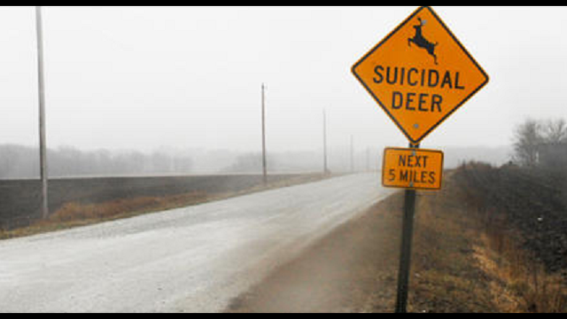 'Suicidal deer' sign making Illinois drivers take notice