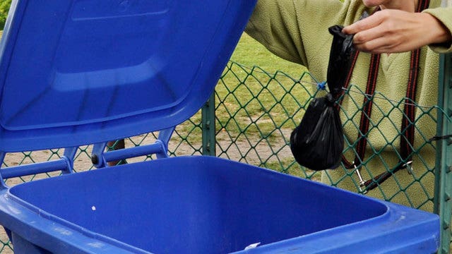 Town considers hidden cameras to catch dog scofflaws