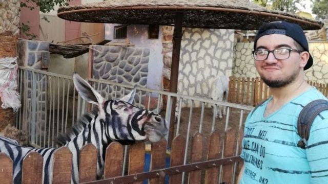 Zoo accused of painting donkey to look like zebra