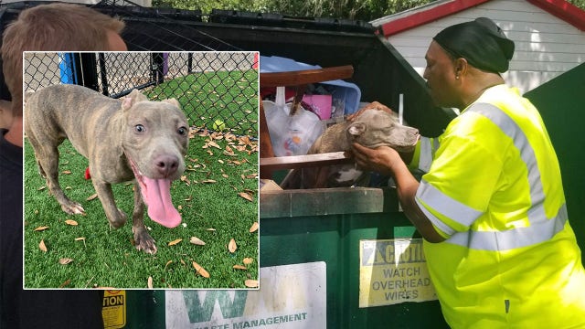 Puppy found in gas station dumpster in Florida
