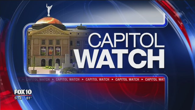 Arizona State Senate passes resolution that declares porn a "public health crisis"