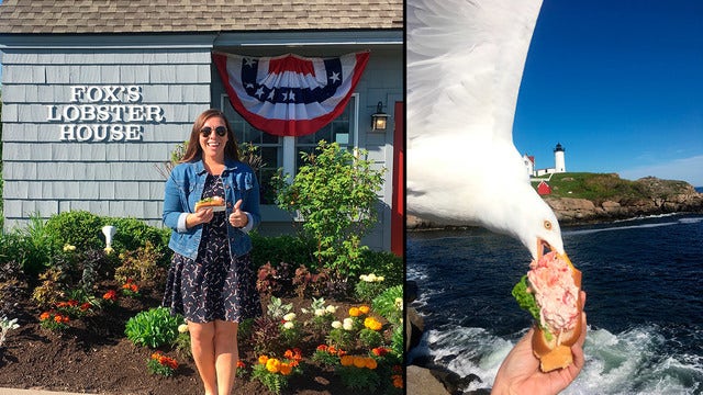 Seagull steals Instagramming woman's lobster roll