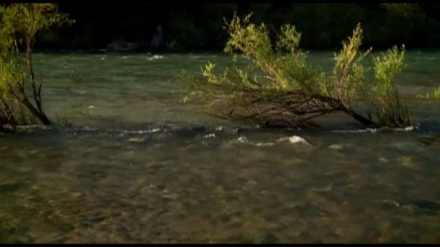 Man drowns doing 'face down' meditation in river