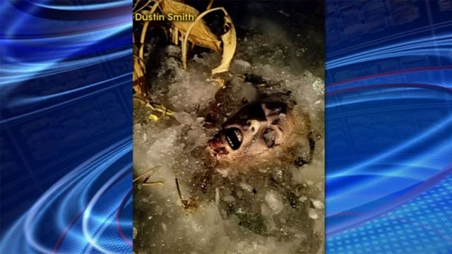 Prank involving zombie decorations leads to investigation