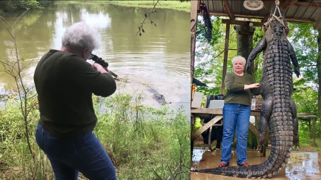 Grandma kills 12-foot gator after it ate her miniature horse